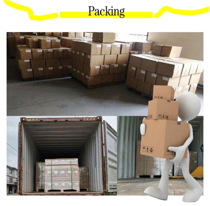 High Loading Capacity Formwork Accessories Scaffold Wing Nut