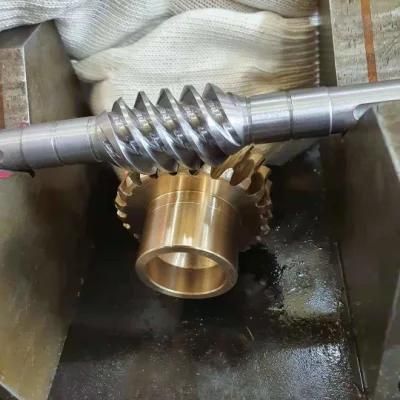 Customized Steel Shaft Worm Shaft Precision Machining Metal Parts