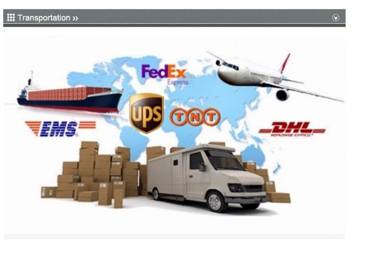 Made in China High Precision Die Casting Auto Parts with ISO