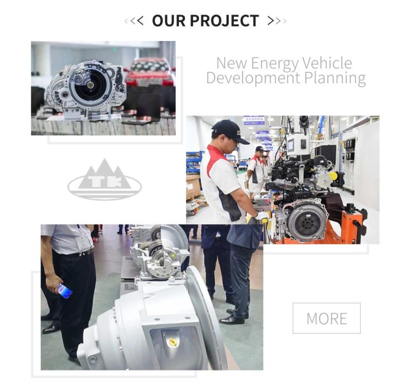 Die Cast Mould Making Products Investment Casting with Skillful Manufacture