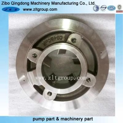 Stainless Steel/Carbon Steel Zlt 196 Pump Stuffing Box Big Bore Cover