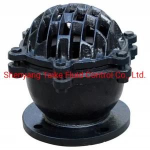 Ci Foot Valve Casting OEM