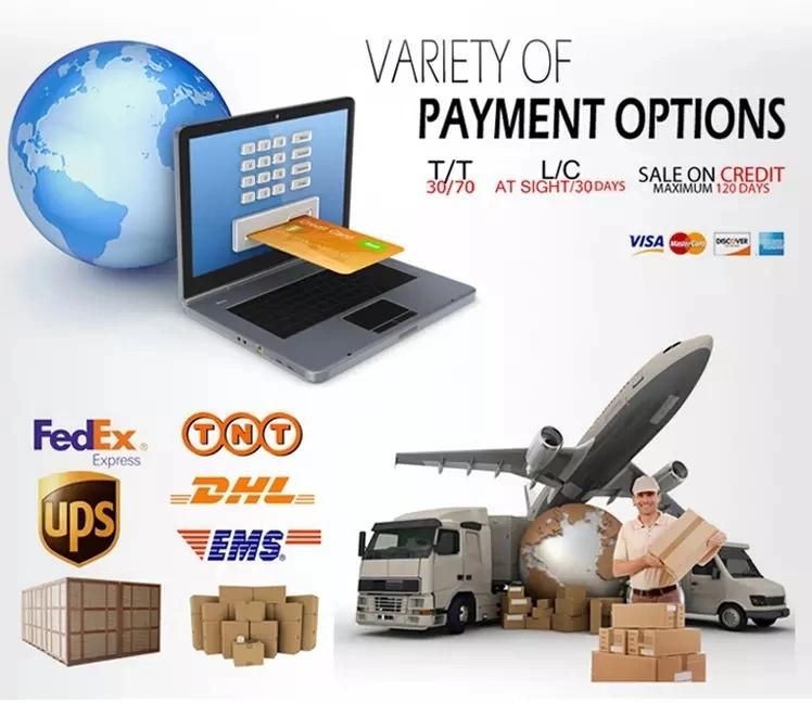 OEM Service for Aluminum Die Casting /Sand Casting/Investment Casting