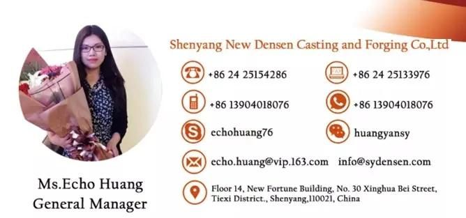 Densen Customized Super Large Cast Steel Sand Casting Pump Body, Casting Water Pump Body, Pump Body Parts