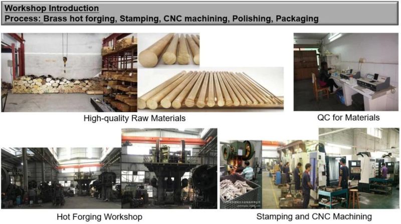 Casting/Sand Casting/Grey/Gray Iron Casting/Gg15/Gg20/Gg25/Gg30/CNC Machining Parts/Machinery Parts/Pump Parts/Motor Parts/Valve Parts 015