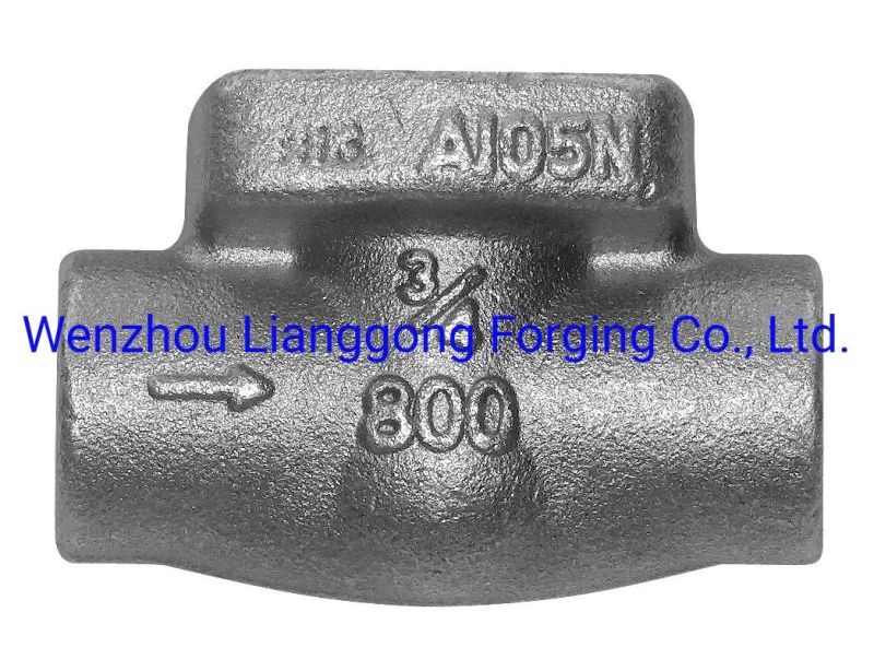 Custom Forged Steel Valve Components with Carbon Steel/Alloy Steel/Stainless Steel