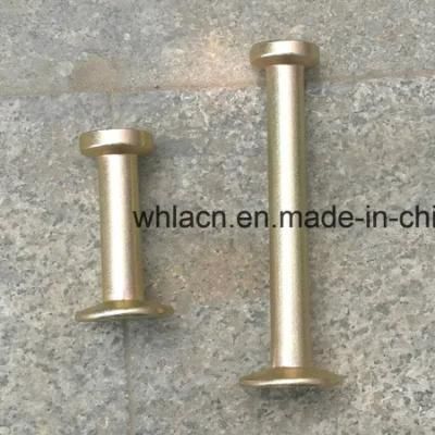 Precast Concrete Spherical Head Lifting Anchor Pin Foot Anchor for Lifting Clutch Ring ...