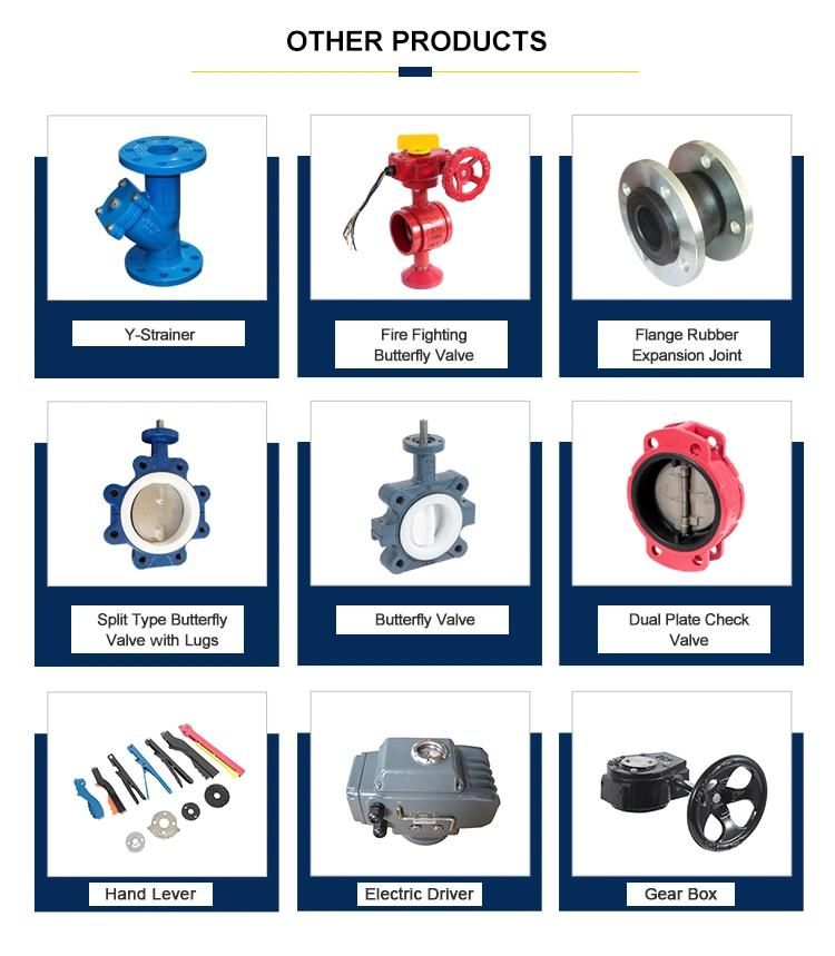 Lug Type Butterfly Valve for Marine Valve with Hand Lever