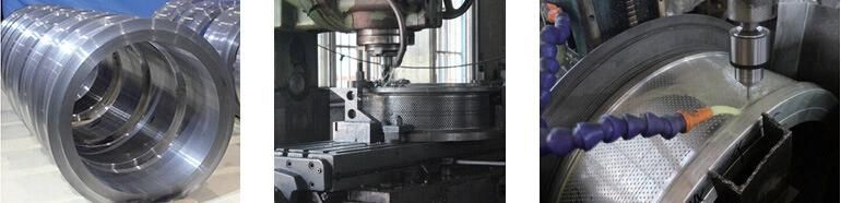 Vacuum Heat Treatment Pellet Mill Spare Parts Ring Die