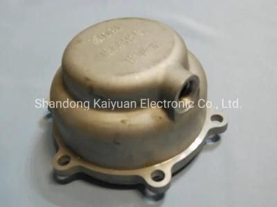 Professional OEM Aluminum Die Casting in Big Size with High Pressure From China