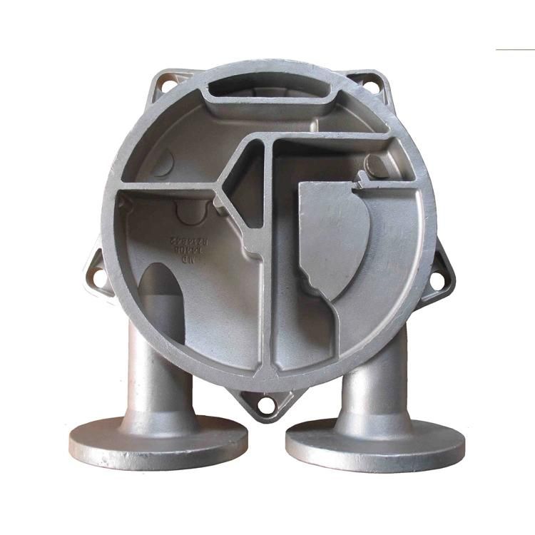 Densen Customized Investment Casting Stainless Steel Casting Diaphragm Pump Spare Parts