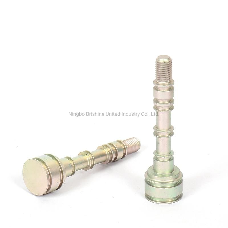 Customize Aluminum Anodizing Valve Rod/Valve Part