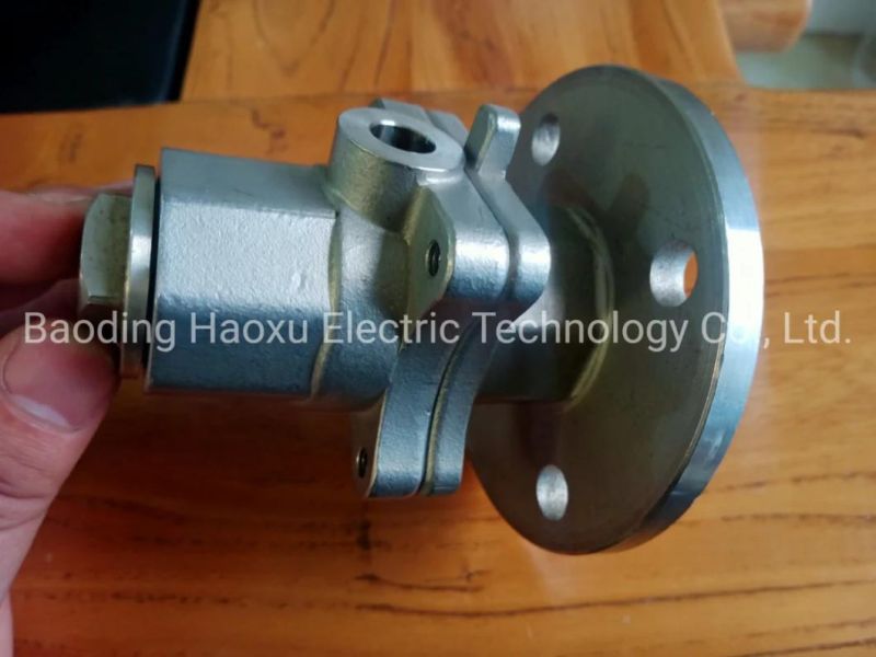 OEM Custom SS316 Hinge for Electrical Cabinet, Refrigerator and Yacht with Casting