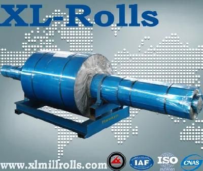 Spheroidal Graphite Cast Iron Roll (SGP, SGA) Mill Roll