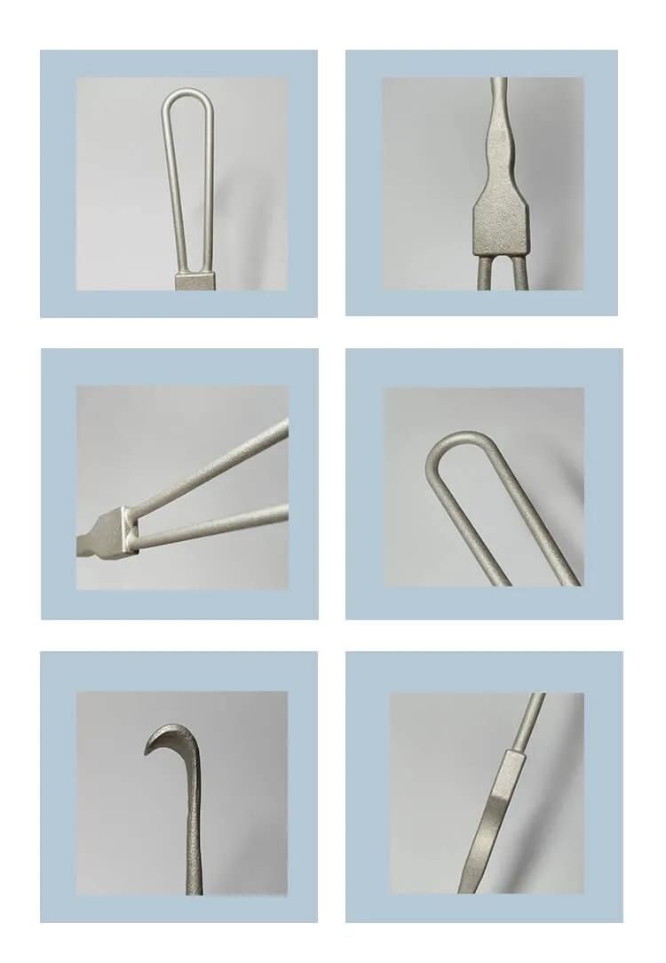 Densen Customized Stainless Steel 304 Silica Sol Investment Casting Parts of Hook for Laboratory Small Part Investment Casting