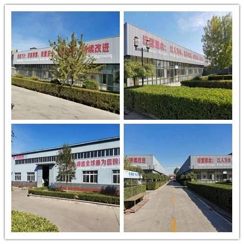 Professional Cast and Forged Custom Service Die Casting Parts
