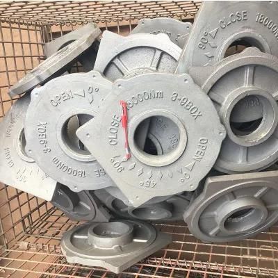 OEM Series Stainless Steel Flange Type Strainer Valve Casting