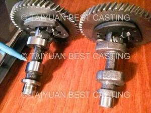 Crankshaft Gear