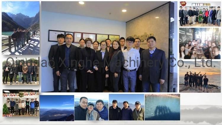 OEM Alloy Die Casting Company for Auto Body Part with Polishing