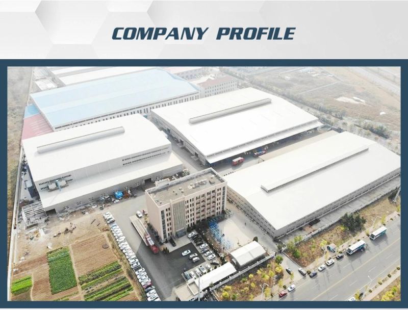 OEM Aluminum Vacuum Cast Die-Casting Gravity Casting Car Spare Parts