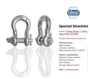 Custom Stainless Small Shackle /Forged Shackle / Custom Shackle