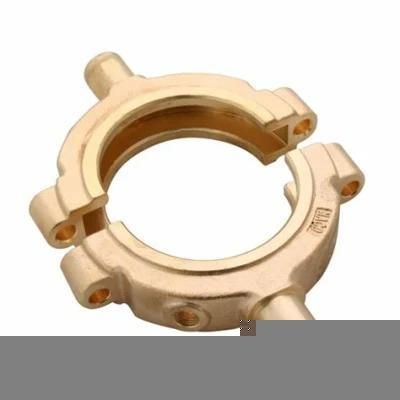 OEM Brass/Copper/Bronze Casting Motor Parts Manufacturers Casting