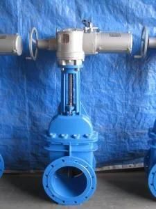OEM Dn40 Ductile Iron BS5163 Rising Stem Gate Valve Casting with PE Coating