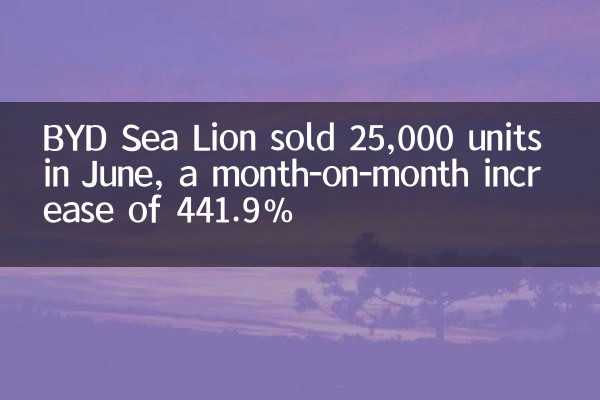 BYD Sea Lion sold 25,000 units in June, a month-on-month increase of 441.9%