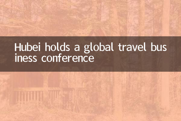 Hubei holds a global travel business conference