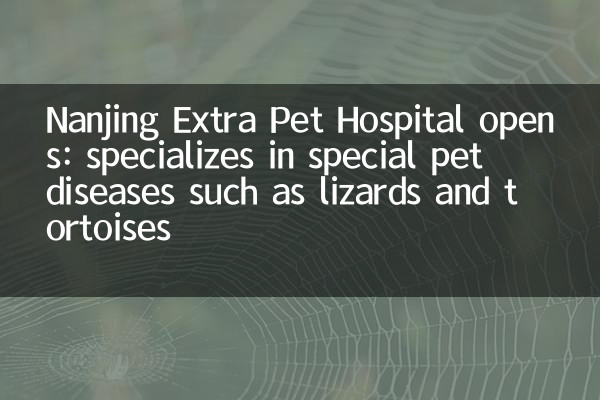 Nanjing Extra Pet Hospital opens: specializes in special pet diseases such as lizards and tortoises