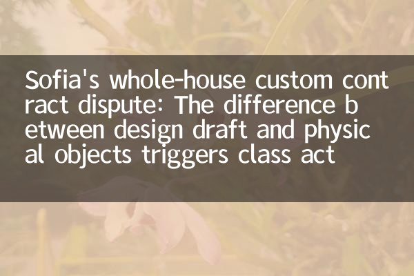 Sofia's whole-house custom contract dispute: The difference between design draft and physical objects triggers class action lawsuit